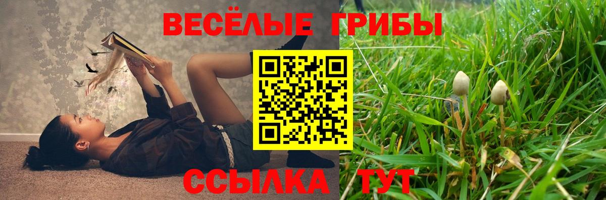 Галлюциногенные грибы MAGIC MUSHROOMS  Галлюциногенные грибы GOLDEN TEACHER  Вход с VPN  Печора 