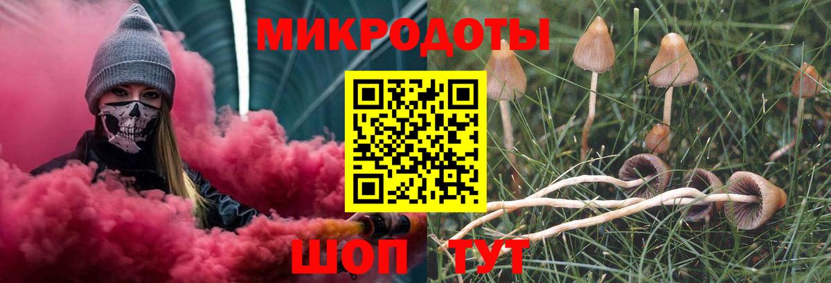 Галлюциногенные грибы Psilocybe Печора